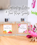 Spring Blossom Reed Diffuser Set 2 | Gayo Shop